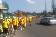 IMAG5526-1