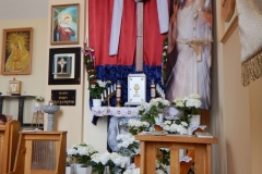 DSCN0342-e1492287166287